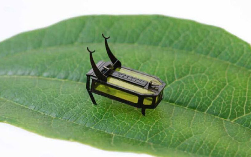 Crean robot del tamaño de un escarabajo y movido por metanol