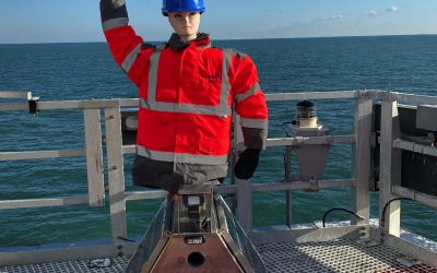 Estos gritos de espantapájaros robóticos protegen los parques eólicos marinos del guano de gaviota