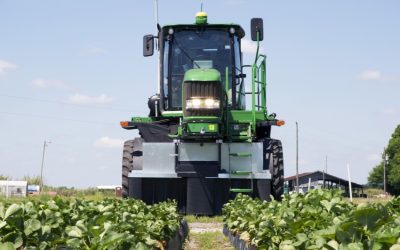 STRAWBOTICS: LA PRÓXIMA GENERACIÓN EN TECNOLOGÍA DE RECOLECCIÓN DE FRESAS CON HARVEST CROO