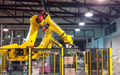 Inser Robótica desarrolla cuatro sistemas de paletizado automático para Bodegas Fundador