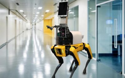 Modifican el famoso perro-robot Spot para que pueda revisar pacientes, evitando el contacto a los sanitarios