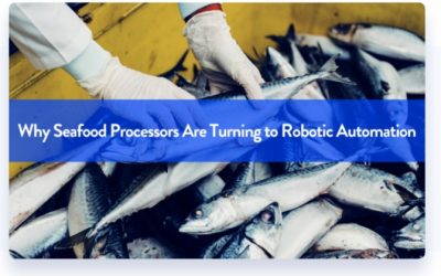 Por qué los procesadores de mariscos están recurriendo a la automatización robótica