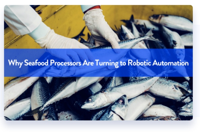 Por qué los procesadores de mariscos están recurriendo a la automatización robótica