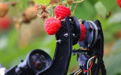 Robocrop: la Máquina que Reemplazará a los Recolectores de Fruta