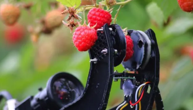 Robocrop: la Máquina que Reemplazará a los Recolectores de Fruta