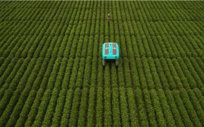 El último proyecto de Google X: Mineral, para el desarrollo de tecnología y robots para agricultura