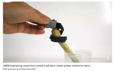 Vea una pinza robótica inspirada en un elefante recoger una uva como un profesional
