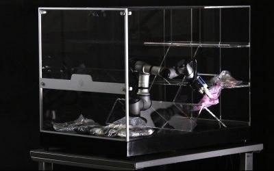 La Nueva Gran Estrategia de la Robótica: Fusionar la Mente Humana con la Artificial