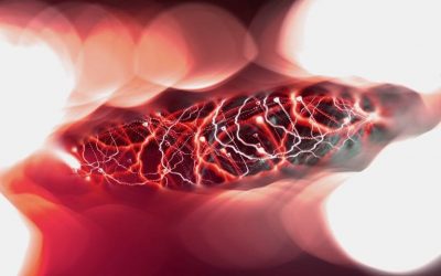 Los Investigadores dan un Comportamiento Espontáneo a la IA Robótica