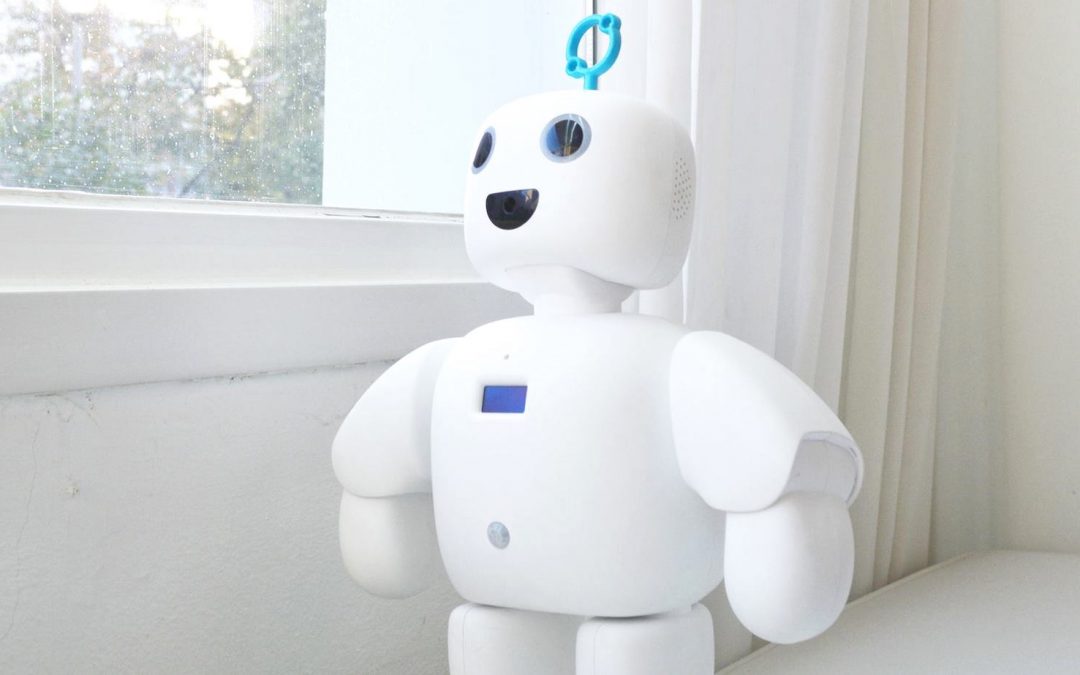 Conoce a piBo: el tierno robot acompañante que se ha robado el corazón de los asistentes al CES 2020