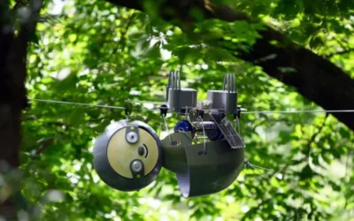 Este simpático robot es el rey de los árboles mientras vigila a los animales