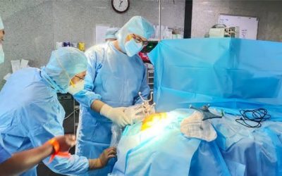 Neurocirugía Robótica para Detectar Origen de Convulsiones