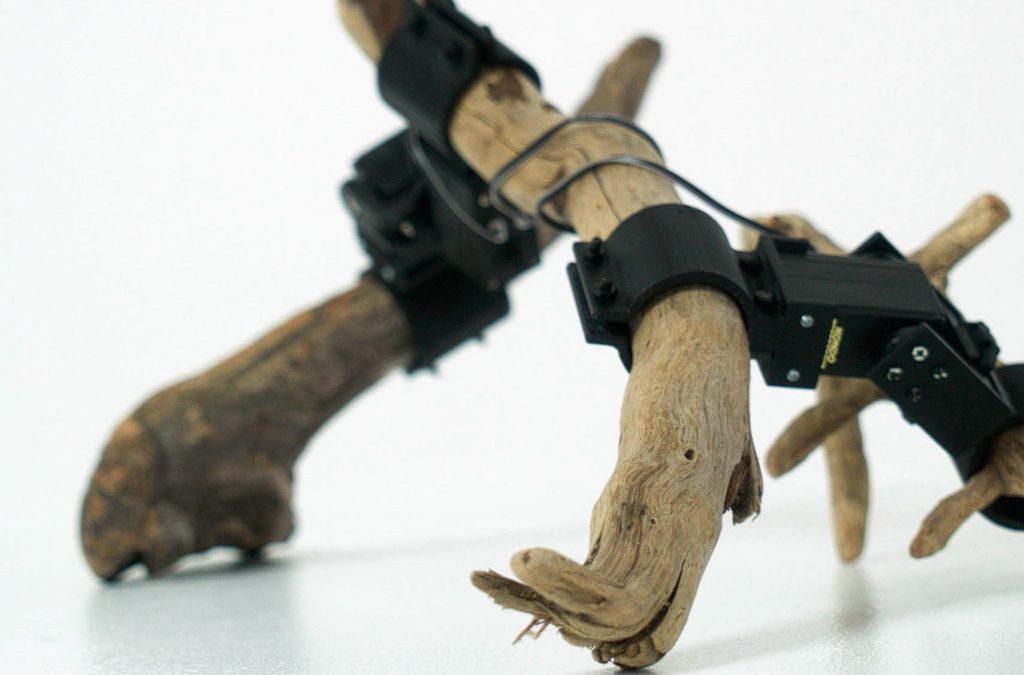 Científicos japoneses crean un robot hecho con ramas de árbol y capaz de aprender por sí mismo a moverse