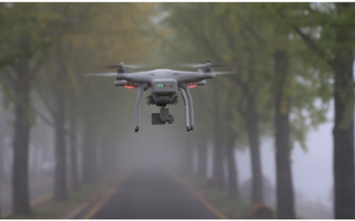 Una Revolución Robótica para la Naturaleza Urbana