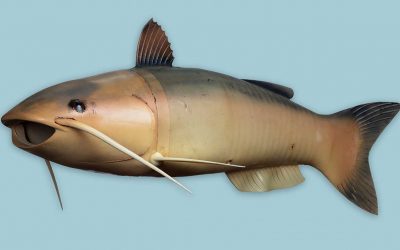 Conoce a Catfish Charlie, el espía robótico de la CIA