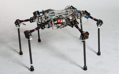 Robots que cambian de forma en la naturaleza: el robot DyRET puede reorganizar su cuerpo para caminar en nuevos entornos