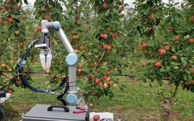 Un robot autónomo capaz de recolectar manzanas: la idea de unos investigadores para solucionar la falta de agricultores en Australia