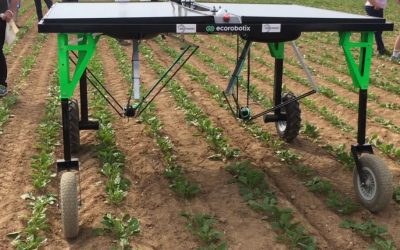 La era robótica: en la Argentina ya trabajan más de 1.000 robots agrícolas