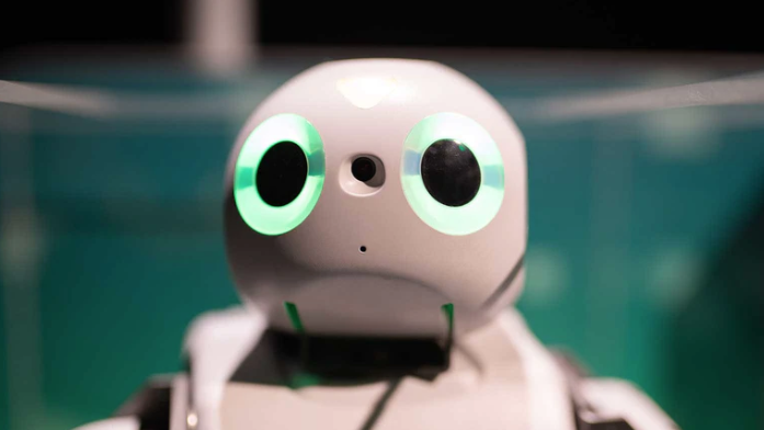 Robot: Una Mirada Inteligente