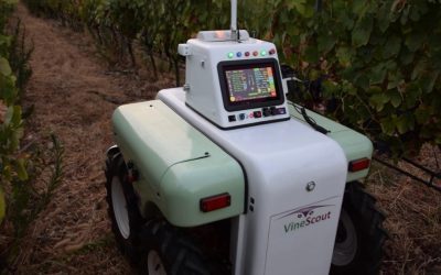 VineScout, el robot agricultor que cuida los viñedos