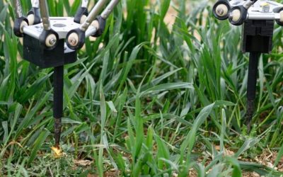 Los robots agrícolas eliminan las malas hierbas con electricidad y sin pesticidas