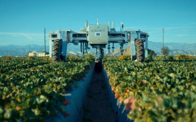 Las nuevas máquinas que sustituirán a los agricultores y jornaleros