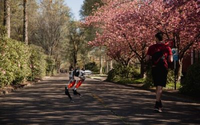 Este robot bípedo es el primero en correr 5 kilómetros: no es más rápido que nosotros, pero sus tiempos son prometedores