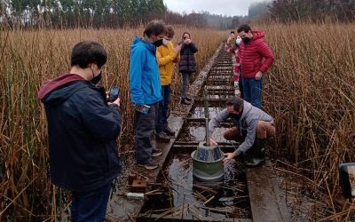 Universidad Austral de Chile crea “robot” que medirá indicadores de agua en humedales