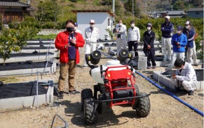 Granja japonesa desplegó un robot para polinizar un huerto de manzanas