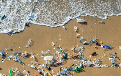 Pequeños robots nadadores pueden ayudar a limpiar un desastre de microplásticos