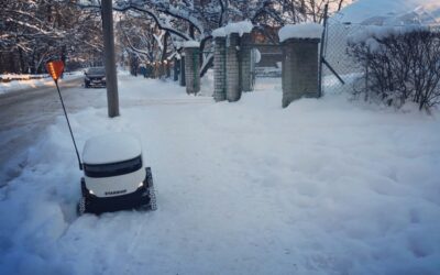 En Estonia los robots piden ayuda a los humanos