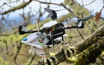 Este robot con patas puede posarse como un pájaro en un árbol | VIDEO