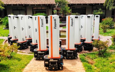 Zippedi, la evolución robótica del retail