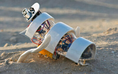 El minúsculo robot agricultor que quiere devolver la vegetación a las zonas desérticas