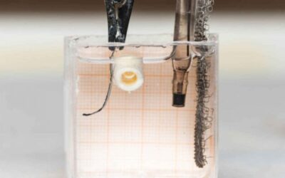 Nuevos robots inyectables arreglarán roturas en huesos de humanos