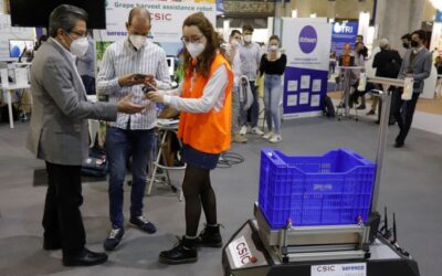 «Robert», el carro robot que ayuda en la vendimia