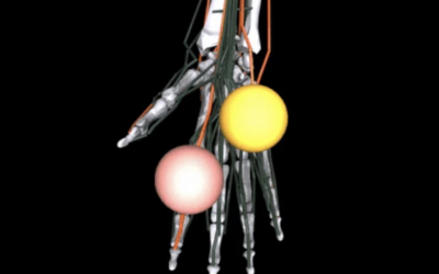 Este nuevo esqueleto robot de Meta tiene dos objetivos: los quirófanos y el Metaverso