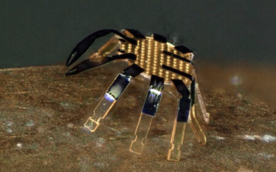Un robot cangrejo tan pequeño que cabe en el hueco de una aguja