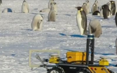 ECHO, el robot pingüino que vive en la antártica