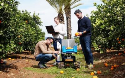 Desarrollan un robot que recoge la fruta caída para darle un segundo uso