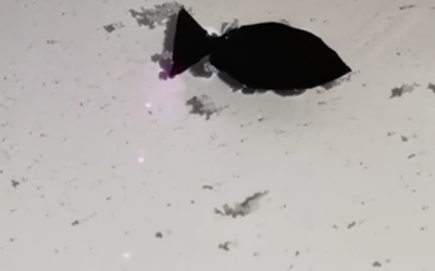 Diseñaron el prototipo de un pez robot biónico capaz de “comerse” los microplásticos de los mares