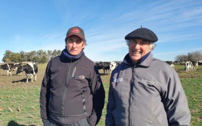 Iban a cerrar un tambo pero ver cómo ordeña un robot los hizo cambiar de decisión