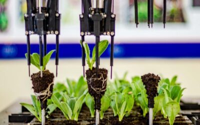 Trujillo: investigadores crean robot que mejora la siembra de semillas en la agroindustria