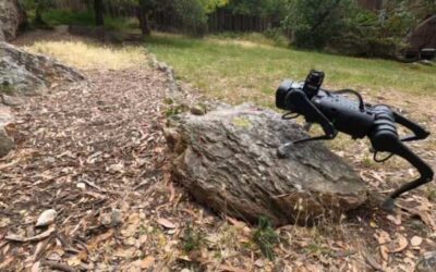 Nuevo y barato robot con patas capaz de subir y bajar escaleras