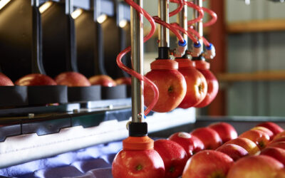 El robot Yummy Fruit alcanza el hito de envasar 20 millones de manzanas