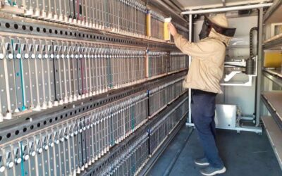 La robótica llega a la COP27 para salvar a las abejas