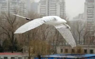 Excavar, volverse anfibio, volar, coger cosas con tentáculos o trepar árboles: 5 robots copiados de animales que te alucinarán