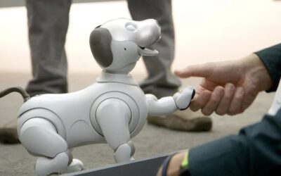 Estos son los perros robot que acompañarán a los humanos próximamente