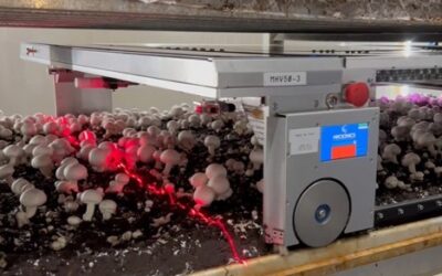 Una cosechadora robótica de champiñones resuelve los problemas de mano de obra