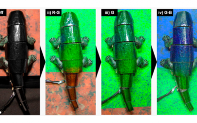 Desarrollan un robot inspirado en los camaleones capaz de cambiar de color